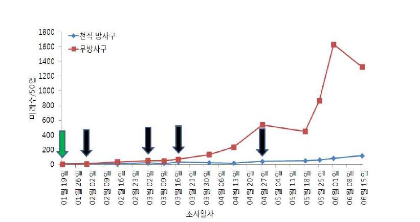 시설오이에서 뱅크플랜터와 콜레마니진디벌을 이용한 목화진딧물의 밀도 억제 효과(‘11)