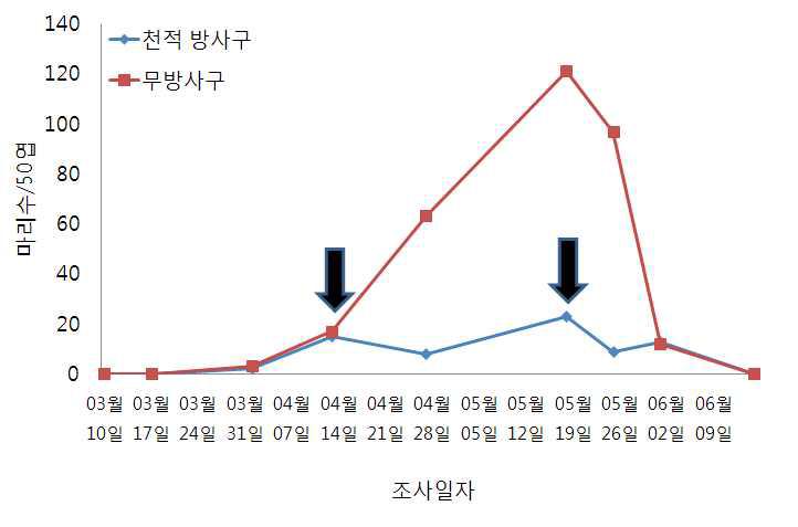 시설오이에서 꼬마남생이무당벌레를 이용한 싸리수염진딧물의 밀도 억제 효과(‘11)