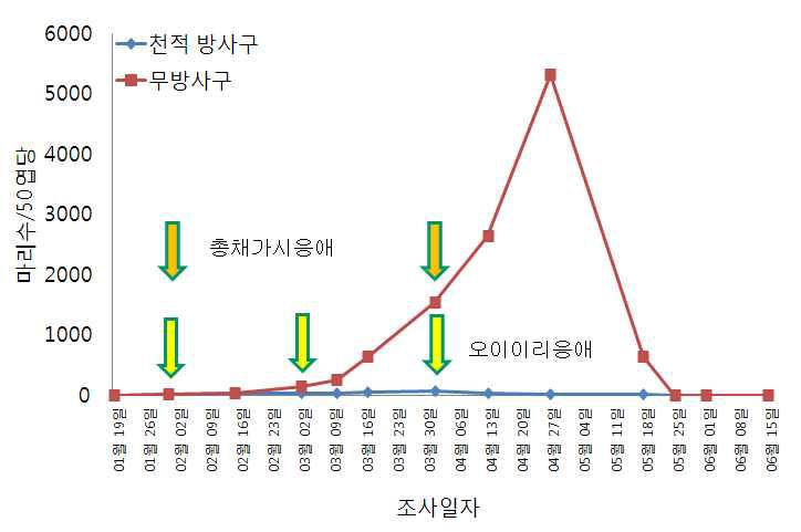 시설오이에서 총채가시응애와 오이이리응애를 이용한 오이긴털가루응애의 밀도 억제 효과(‘11)