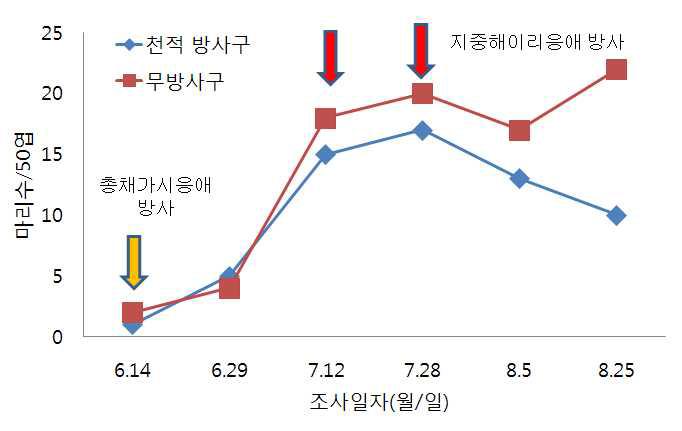 시설오이에서 총채가시응애와 지중해이리응애를 이용한 꽃노랑총채벌레 밀도 억제 효과(‘11)