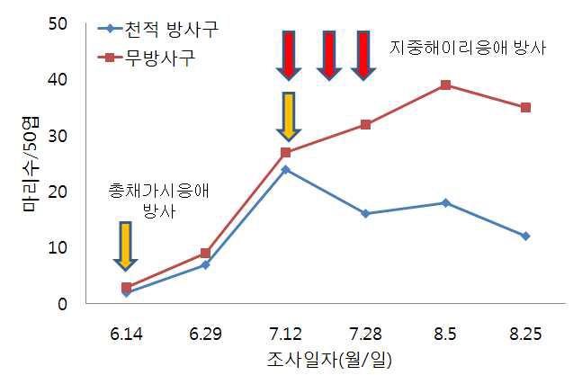 시설오이에서 총채가시응애와 지중해이리응애를 이용한 꽃노랑총채벌레 밀도 억제 효과(‘11)