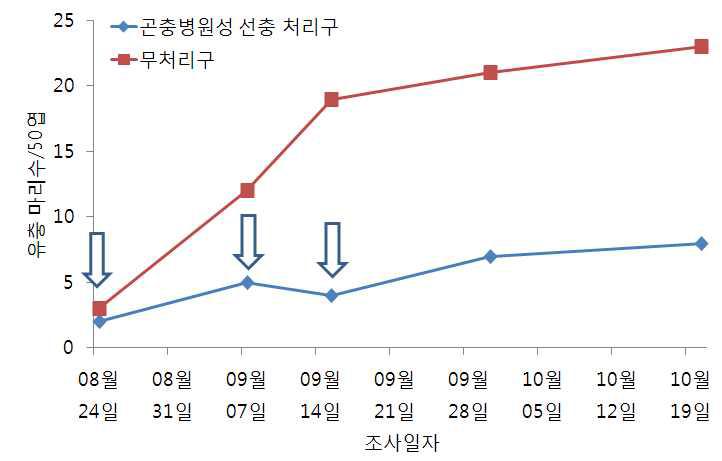 시설오이에서 곤충병원성 선충을 이용한 목화바둑명나방의 밀도 억제 효과(‘11)