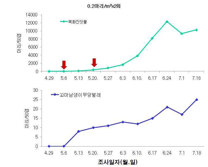 시설수박 꼬마남생이무당벌레 이용 목화진딧물 방제효과 (‘09)