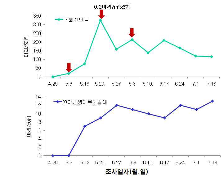 시설수박 꼬마남생이무당벌레 이용 목화진딧물 방제효과 (‘09)