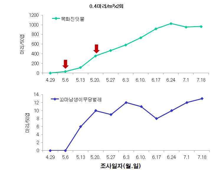 시설수박 꼬마남생이무당벌레 이용 목화진딧물 방제효과 (‘09)