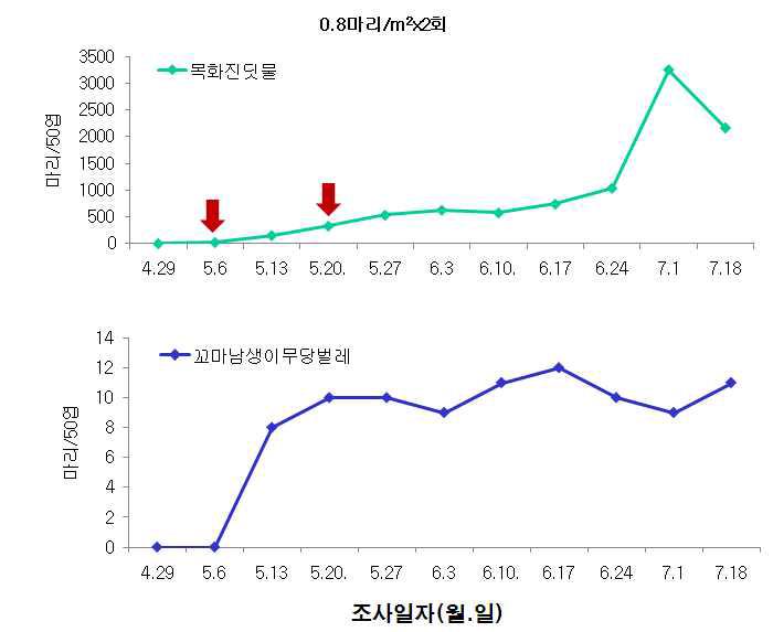 시설수박 꼬마남생이무당벌레 이용 목화진딧물 방제효과 (‘09)