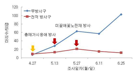 시설재배수박에서총채가시응애와미끌애꽃노린재를이용한꽃노랑총채벌레의밀도억제효과(‘10)