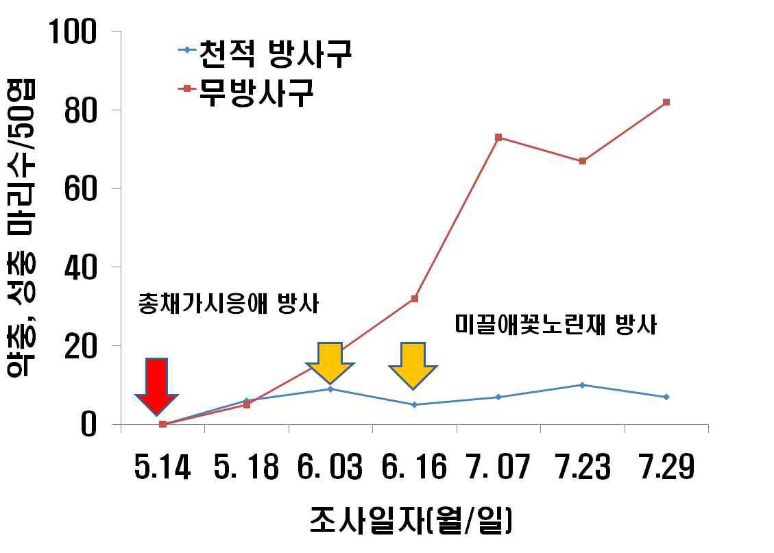 시설재배수박에서총채가시응애와미끌애꽃노린재를이용한꽃노랑총채벌레의밀도억제효과(‘10)