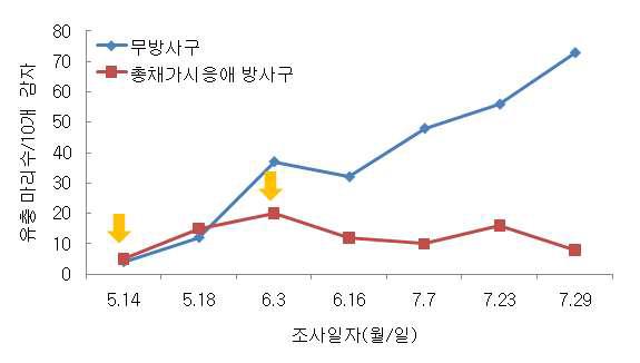 시설재배 수박에서 총채가시응애를 이용한 작은뿌리파리 유충의 밀도 억제 효과 (‘10)