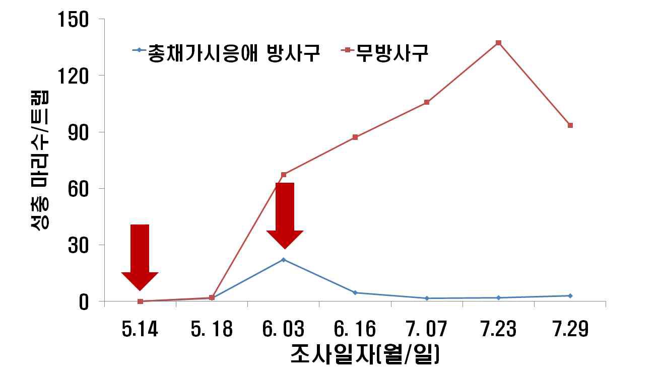 시설재배 수박에서 총채가시응애를 이용한 작은뿌리파리 성충의 밀도 억제 효과 (‘10)