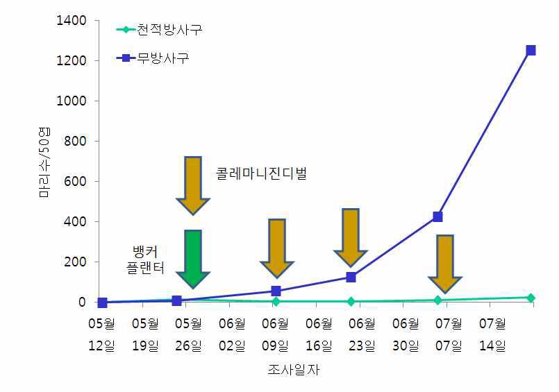 시설수박에서 뱅커플랜터와 콜레마니진디벌을 이용한 목화진딧물 방제효과 (‘11)