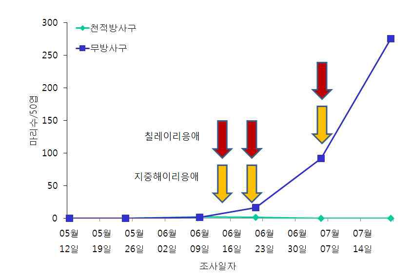 시설수박에서 칠레이리응애와 지중해이리응애 이용 점박이응애 방제효과 (‘11)