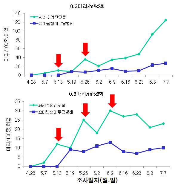 시설상추 꼬마남생이무당벌레 이용 싸리수염진딧물 방제효과(‘09)