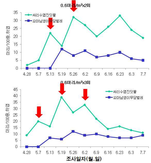 시설상추 꼬마남생이무당벌레 이용 싸리수염진딧물 방제효과(‘09)