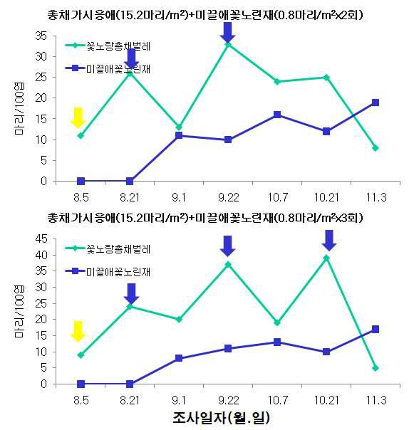 시설상추 총채가시응애와 미끌애꽃노린재 이용 꽃노랑총채벌레 방제효과(‘09)