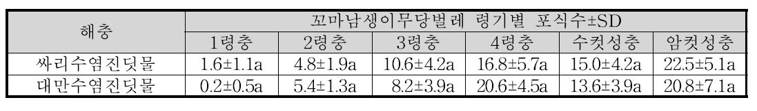 꼬마남생이무당벌레의 싸리수염진딧물과 대만수염진딧물 포식량 조사(‘09)