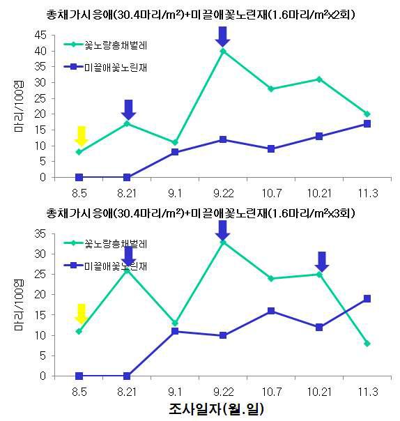 시설상추 총채가시응애와 미끌애꽃노린재 이용 꽃노랑총채벌레 방제효과(‘09)