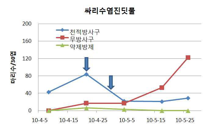 봄작기 시설재배 상추에서 꼬마남생이무당벌레를 이용한 싸리수염진딧물 방제(‘10)