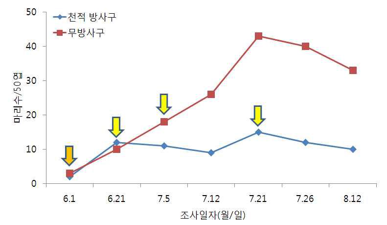 시설상추에서 총채가시응애와 지중해이리응애 이용 꽃노랑총채벌레 밀도 억제 효과(‘11)