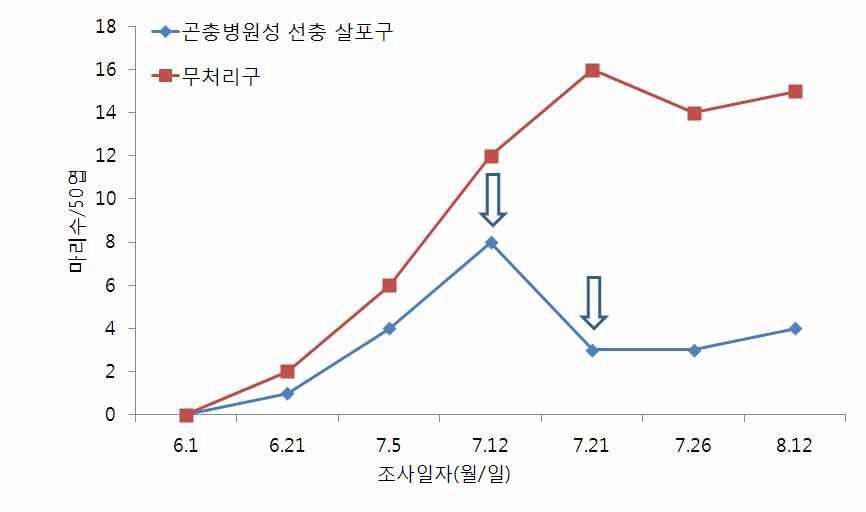 시설상추에서 곤충병원성 선충을 이용한 검은은무늬밤나방의 밀도 억제 효과(‘11)