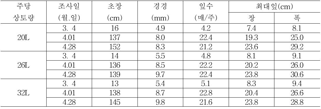 상토의 양에 따른 멜론 생육상황