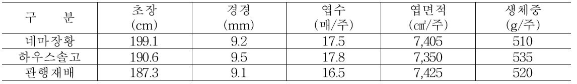 녹비작물 별 오이의 생육