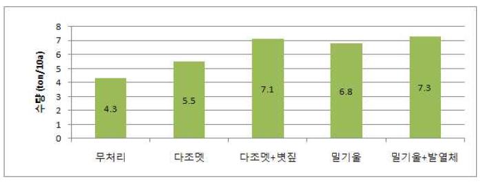 토양처리 방법에 따른 방울토마토 수량