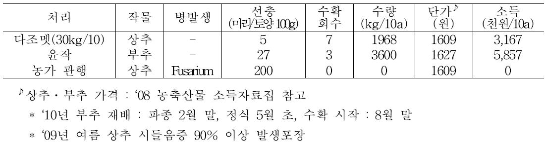 ‘09년 여름상추 시들음증 90% 발생 포장에 ’10년 토양소독 및 윤작 효과