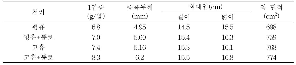 재배방법에 따른 상추 잎의 품질 (2010)