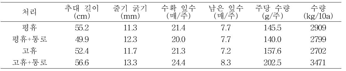 재배방법에 따른 추대 후 상추생육 및 수량 (2010)