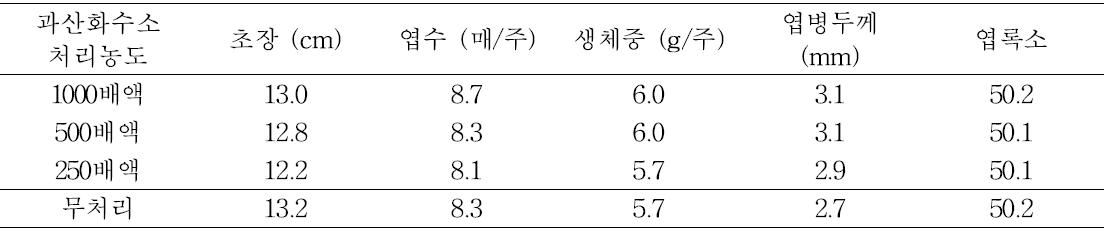 시금치 생육에 미치는 과산화수소의 영향