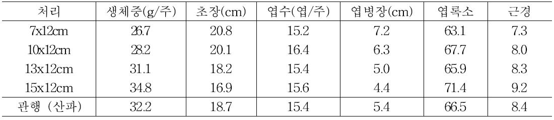 시금치 봄재배 시 파종거리에 따른 시금치 품질