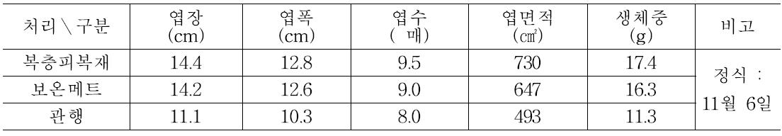 처리별 중기생육 비교(조사: 12월 3일)