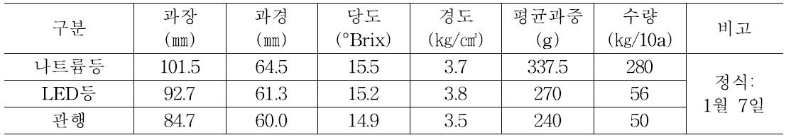 첫 수확 참외의 과일특성