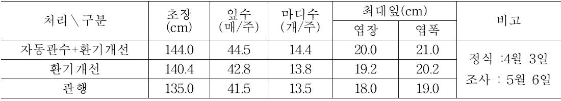 처리별 생육 비교(조사: 5월 6일)