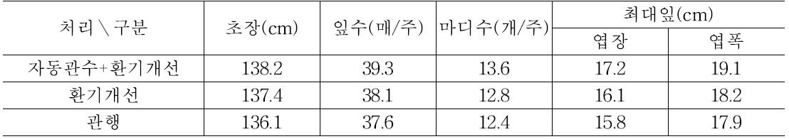 관수량에 따른 초기 수박 생육(조사 8월 5일)