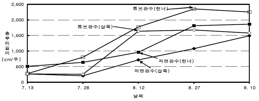 관수 및 육묘방법별 총 뿌리 길이 변화