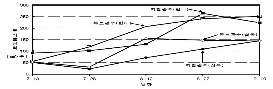 관수 및 육묘방법별 뿌리 표면적 변화