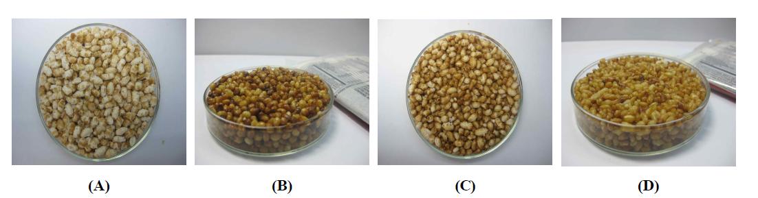 Puffed Olbyeossal products. (A) Puffed Olbyeossal by commercial roaster(Waxyrice) ; (B) Processed Product for microwave oven cooking (Waxy rice) ; (C) Puffed Olbyeossal by commercial roaster(Nonglutinous rice) ; (D)Processed Product for microwave oven cooking (Nonglutinous rice).