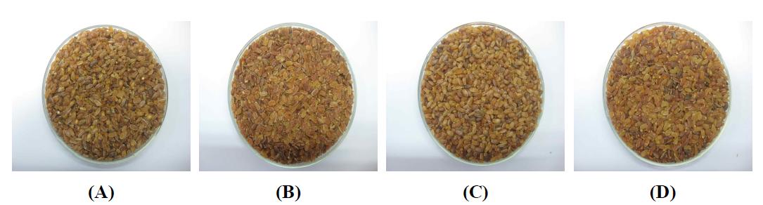processed Olbyeossal products. (A) Baked Olbyeossal(Waxy rice) ; (B) Germinated and baked Olbyeossal(Waxy rice) ; (C) Baked Olbyeossal (Nongluti -nous rice) ; (D)Germinated and baked Olbyeossal(Nonglutinous rice).