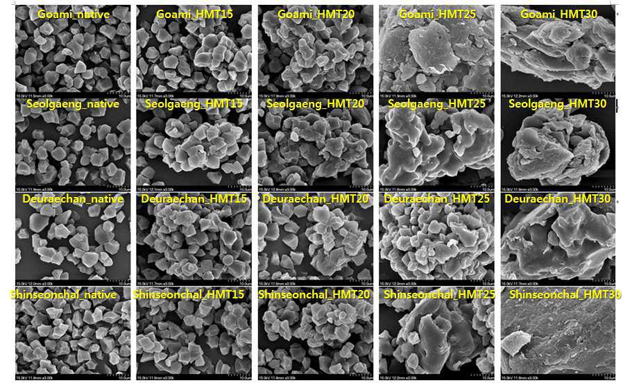 Scanning electron microscope images of native and heat-moisture treated starches