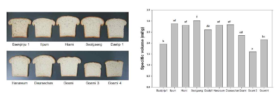 Photographs (Left) and specific volume (Right) of baked bread from various rice varieties