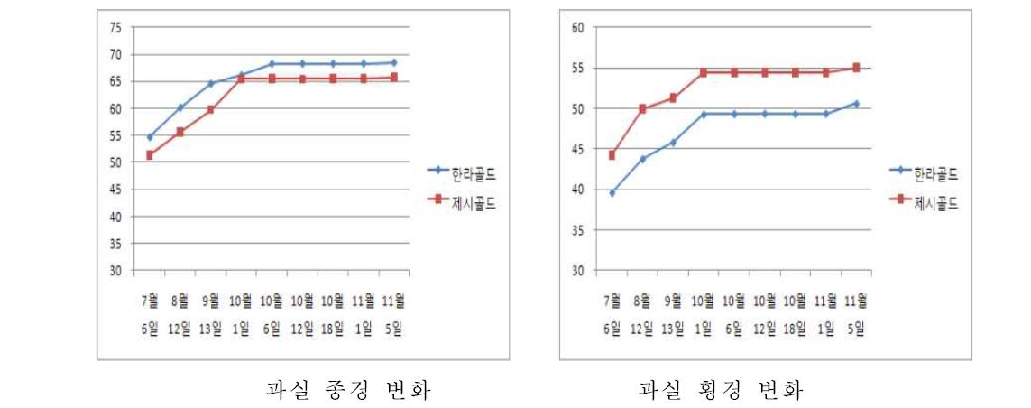 황색 참다래 과실 비대 변화.