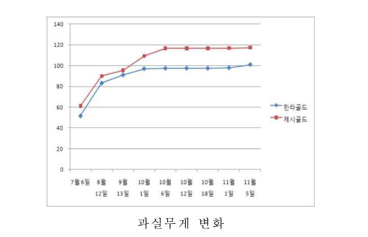 황색 참다래 과실 생육 변화.