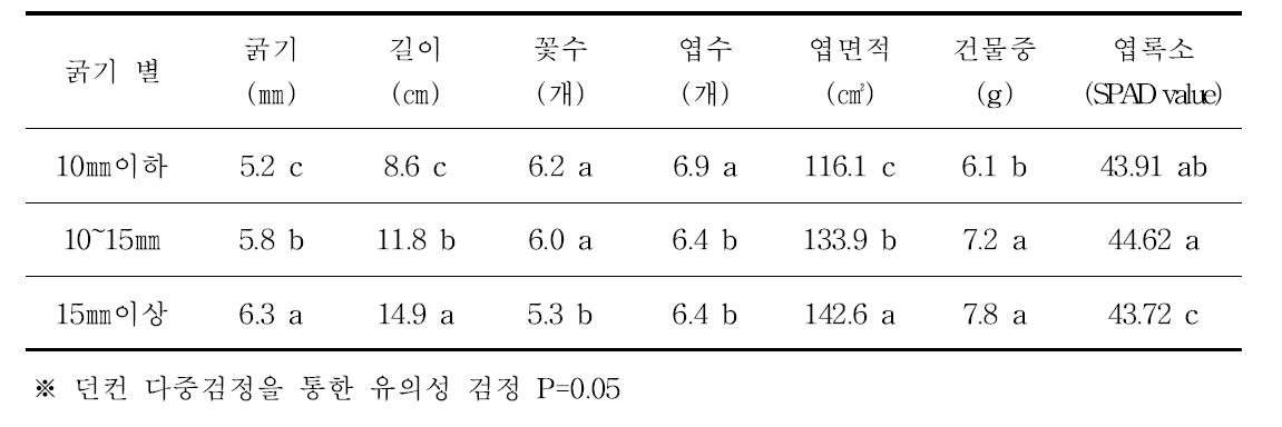 제시골드 결과모지 굵기 별 신초(결과지) 수체생육