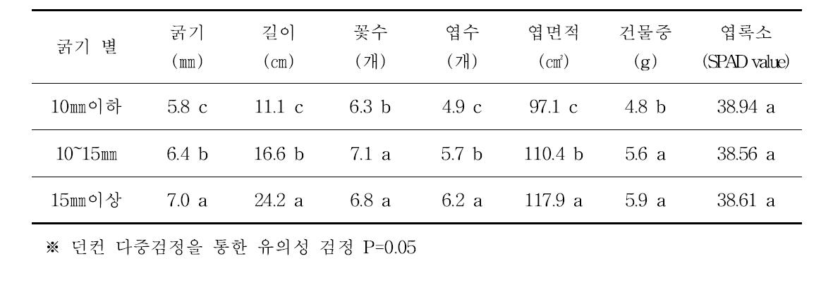 한라골드 결과모지 굵기 별 신초(결과지) 수체생육