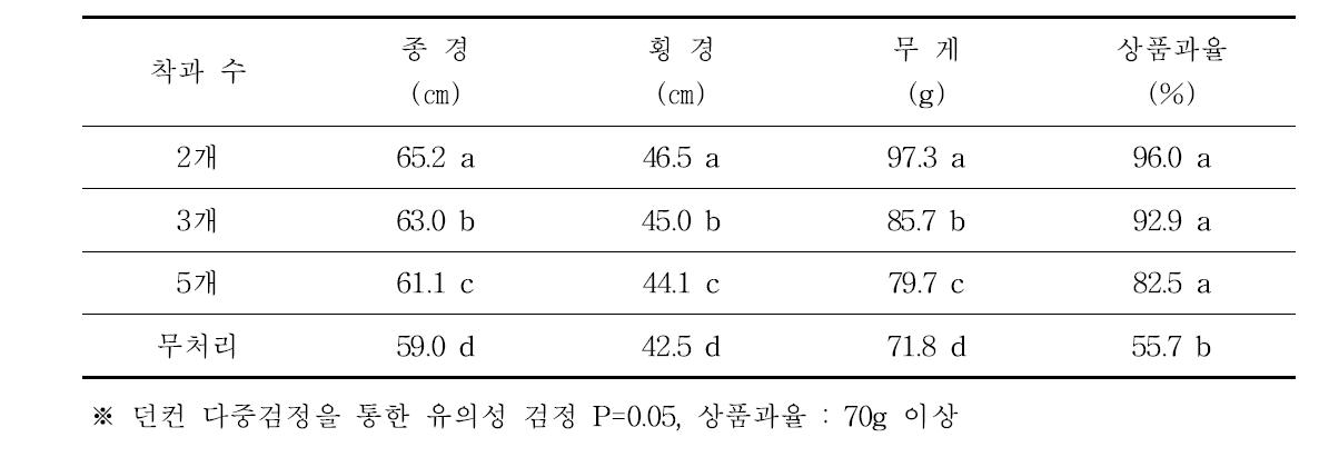 한라골드 결과모지 굵기(10~15㎜)의 과실비대 및 상품과율