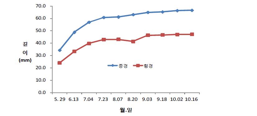 ‘한라골드’ 과실의 시기별 종경과 횡경 변화.