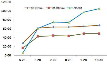 ‘한라골드’ 과실의 시기별 비대 특성.
