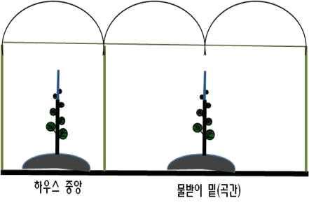 재식위치 모식도.